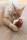 Katzenspielkissen Cat-uccino