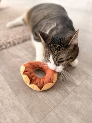 Katzenspielkissen Donut Schoko