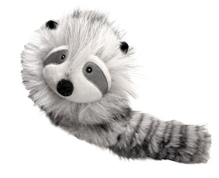 Katzenspielkissen Waschbär