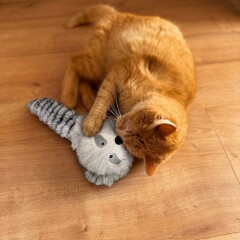 Katzenspielkissen Waschbär
