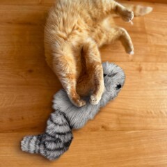 Katzenspielkissen Waschbär